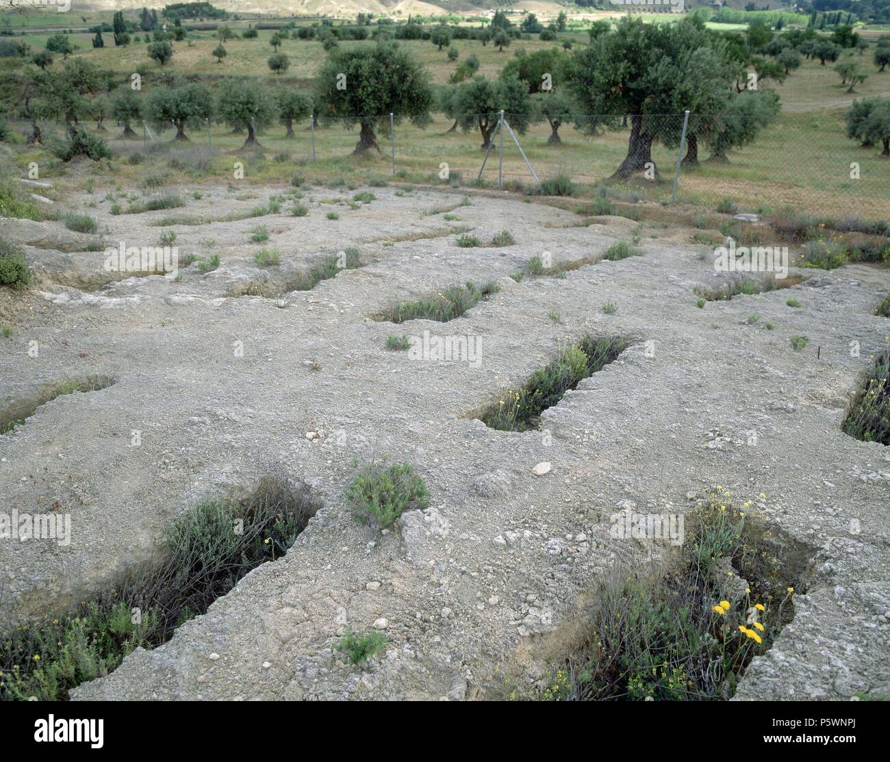 Nekropole VISIGODA DEL CERRO DE CABEZA GORDA - SIGLOS VI/VIII. Lage: aussen, CARABANA. Stockfoto