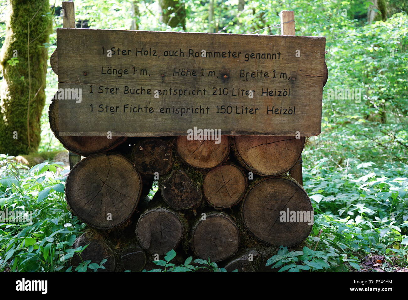 1 Ster Holz, Wanderweg durch die gauchachschlucht, Drei-Schluchten-Wanderung, nebenschlucht der Wutachschlucht, Baar, Baden Württemberg, Deutschland Stockfoto