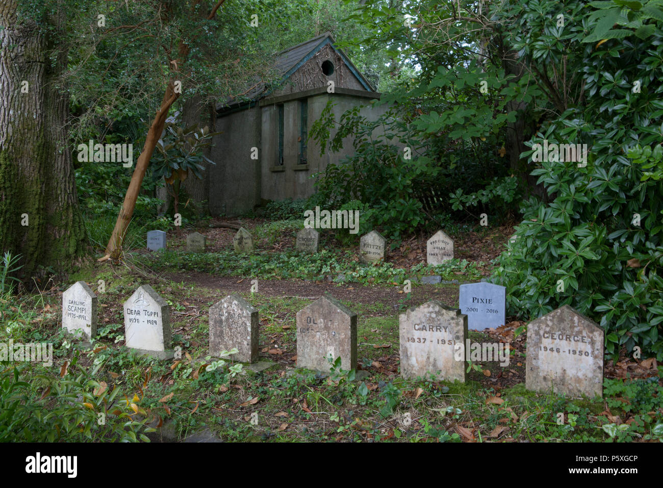 Die Pet-Friedhof am Mount Usher Gardens in der Grafschaft Wicklow, der als einer der schönsten Gärten Irlands und arboretums Stockfoto