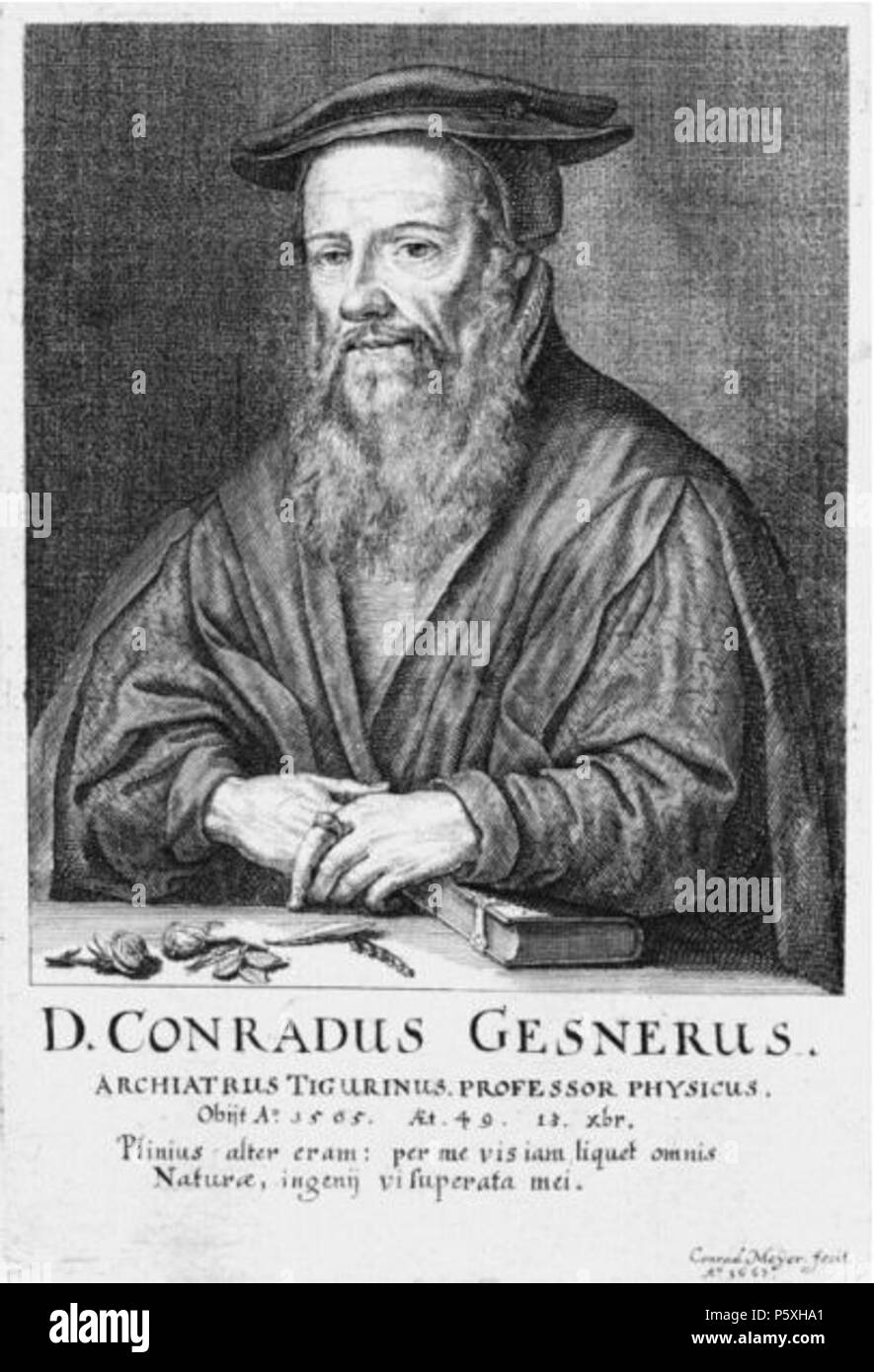 N/A. English: Conrad Gesner (1516-1565), schweizerischer Arzt, Naturforscher und Altphilologe. 1662. Conrad Meyer 375 Conrad Gesner (1662) Stockfoto