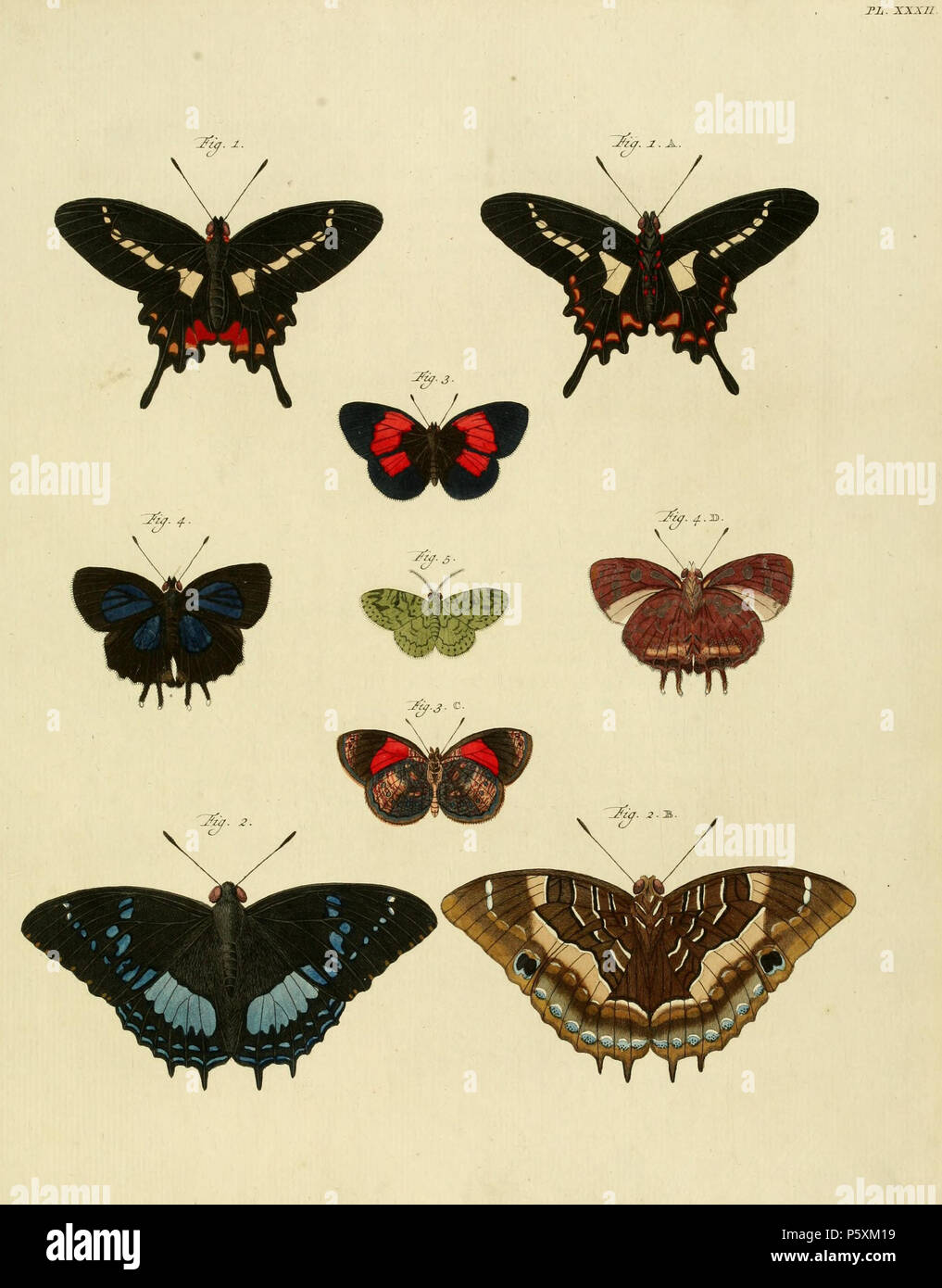 N/A. Platte XXXII Warnung: Einige Taxa/Namen können misidentified/Sachverhalt in eine andere Gattung gestellt werden. 1: Pap [Ilio] EQ [ues] Achiv [us] AGAVUS (=Parides agavus (Drury, 1782), siehe Funet). Fotos von Schmetterlingen von Amerika. 2: Pap [Ilio] EQ [ues] Argon [aut.] THYESTES (=Charaxes xiphares thyestes (Stoll, 1790), siehe Funet). Fotos, die bei der biologischen Vielfalt Explorer. Auch auf pl. 377 A, B als [Schmetterling] Xiphares. 3: Pap [Ilio] Nymphe [Alis] Phal [eratus] PYRAMUS (=Haematera pyrame (Hübner, [1819]), siehe Funet). Fotos von Schmetterlingen von Amerika. 4: Pap [Ilio] Pleb [ejus] Caud [atus] TIMOLEON (=Iraota timoleo Stockfoto