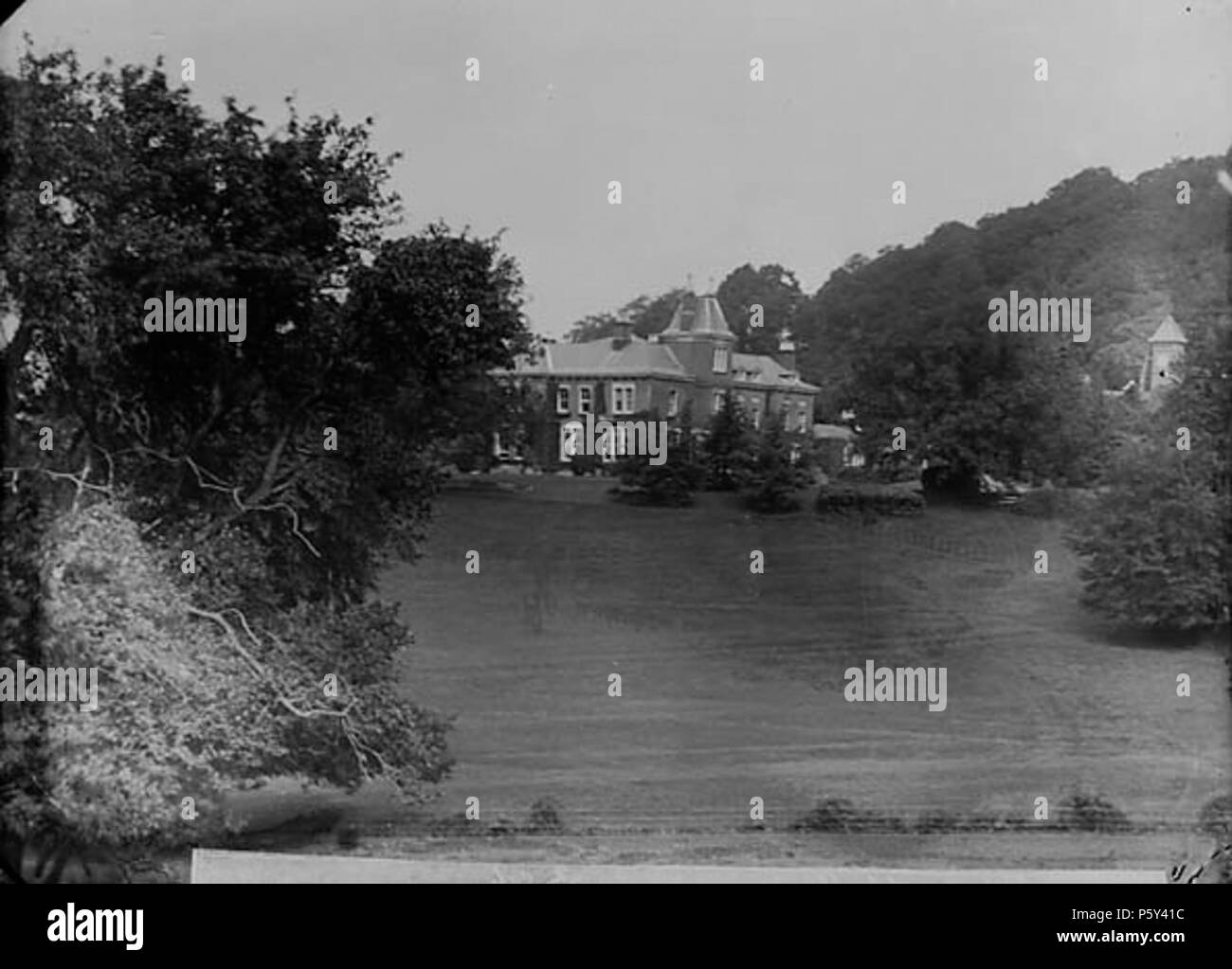 [Cyfronnydd Hall, Schloss Caereinion] [Graphic].. 1 Negativ: Glas, trockenen Platte, b&w; 12 x 16,5 cm. ca. 1885. Thomas, John, 395 Cyfronnydd Hall, Schloss Caereinion NLW 3362975 Stockfoto