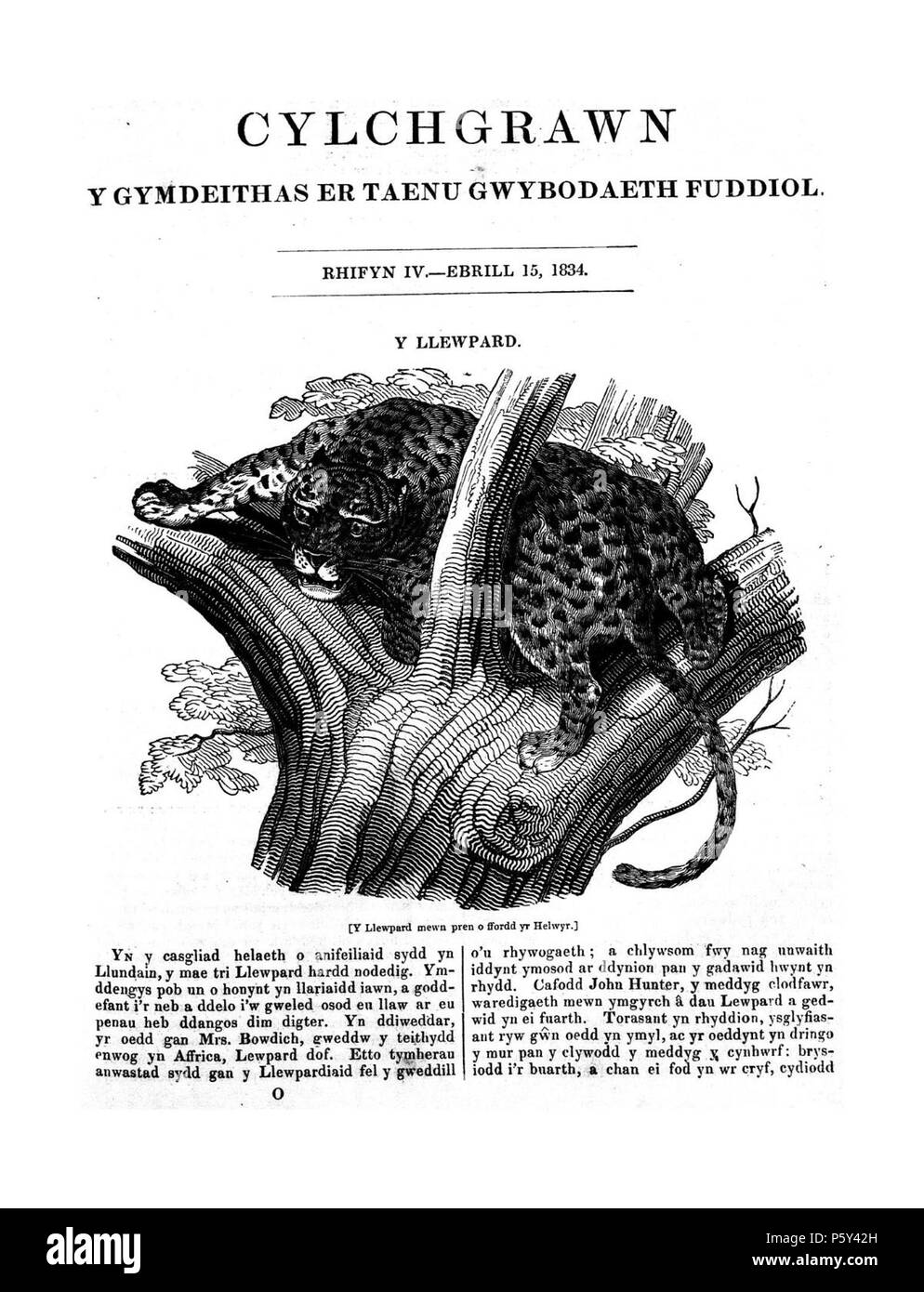 Cylchgrawn y Gymdeithas er Gwybodaeth Taenu Fuddiol. Englisch: Die monatlichen Walisische Sprache Zeitschrift der Gesellschaft für die Verbreitung von Kenntnissen, dass veröffentlichte Artikel auf eine Reihe von Themen wie die natürliche Welt, Geographie, Biographien und Literatur. Die Zeitschrift wurde durch Kleriker und Dichter bearbeitet, John Blackwell (Alun, 1797-1840). Deutsch: Cylchgrawn Misol, Deutsch ei iaith, y Cymdeithas Er Gwybodaeth Taenu Fuddiol. Hsfk gynnwys y cylchgrawn erthyglau oedd ar nifer o bynciau cyffredinol, megis byd Natur, llenyddiaeth bywgraffiadau daearyddiaeth, ein. Golygwyd y cylchgrawn Gan yr von Stockfoto