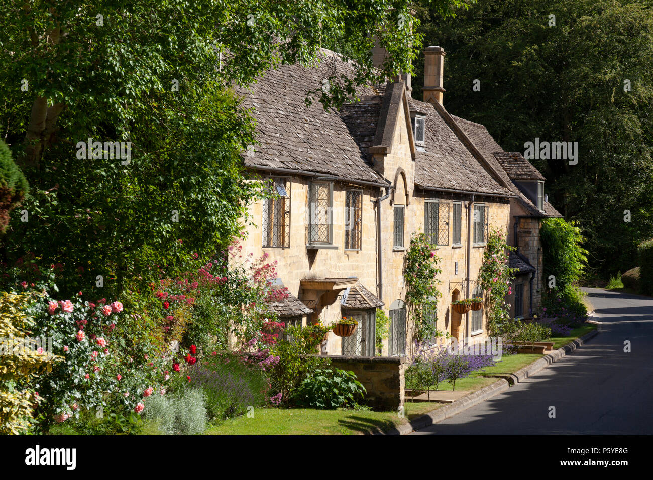 Linie der Cotswold Stone Cottages in Rosen bedeckt, breit Campden, die Cotswolds, Gloucestershire, England, Vereinigtes Königreich, Europa Stockfoto