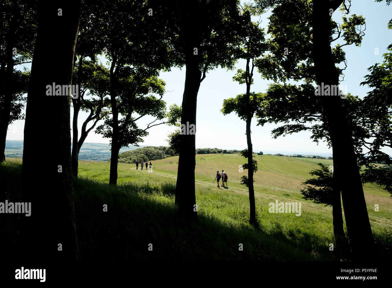 Wanderer auf dem South Downs Way gesehen durch die von Bäumen gesäumten Überreste des prähistorischen Hill fort von Chanctonbury Ring in der South Downs oben Wert Stockfoto