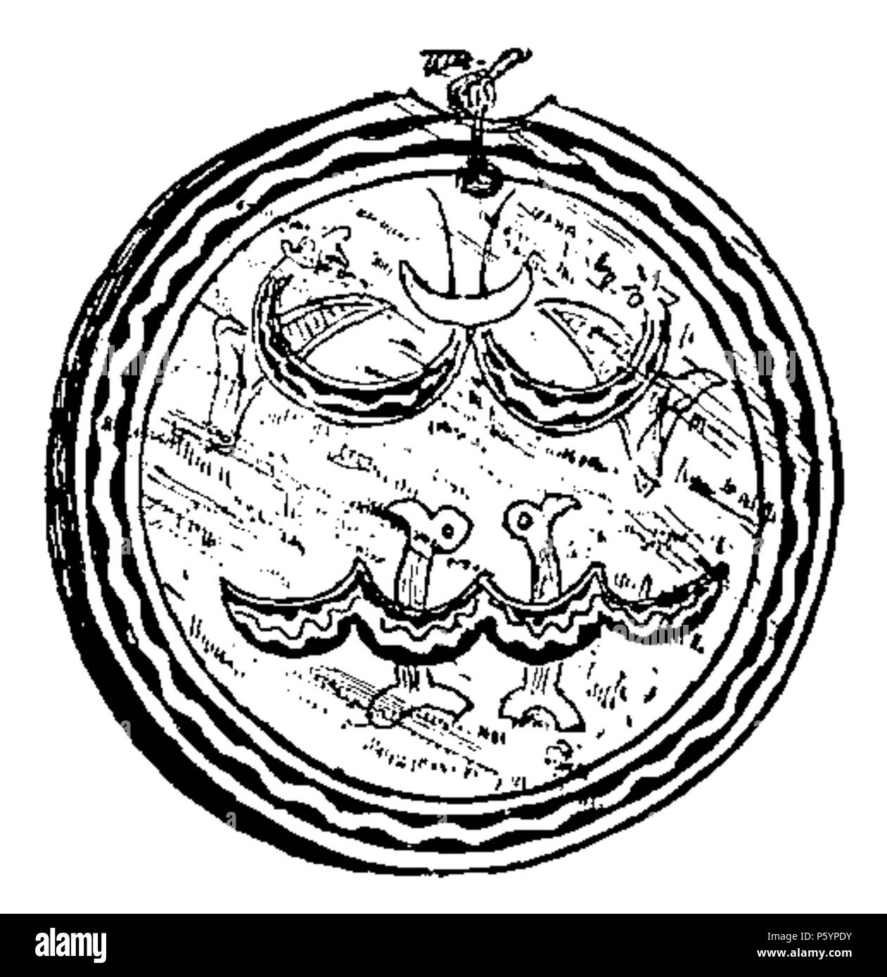 400 D232-coquillage des iles Salomon. - L 1 - Ch4 Stockfoto