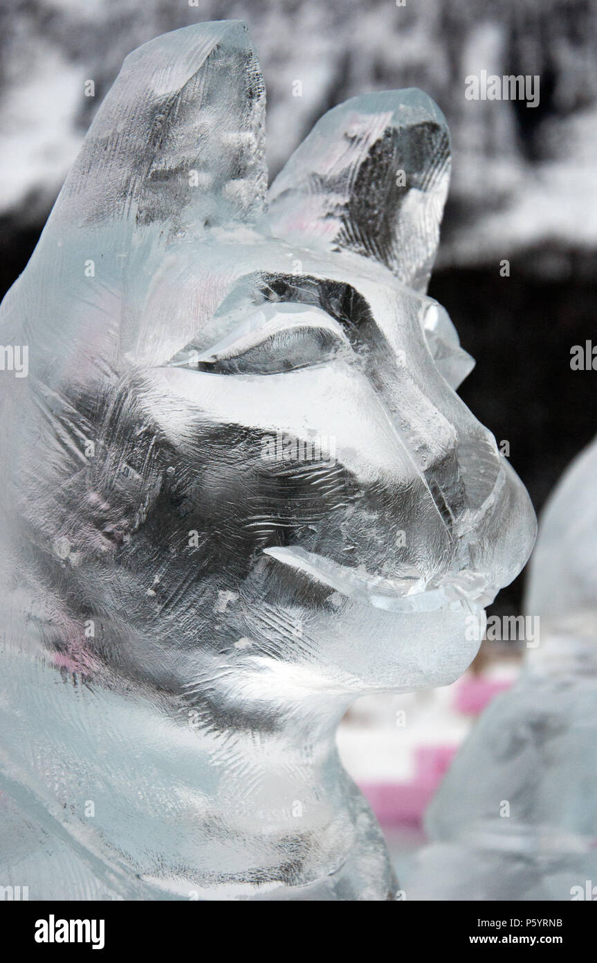 Cat Ice Carving am Ice Magic Festival, Chateau Lake Louise, Lake Louise, Banff Nationalpark. Stockfoto