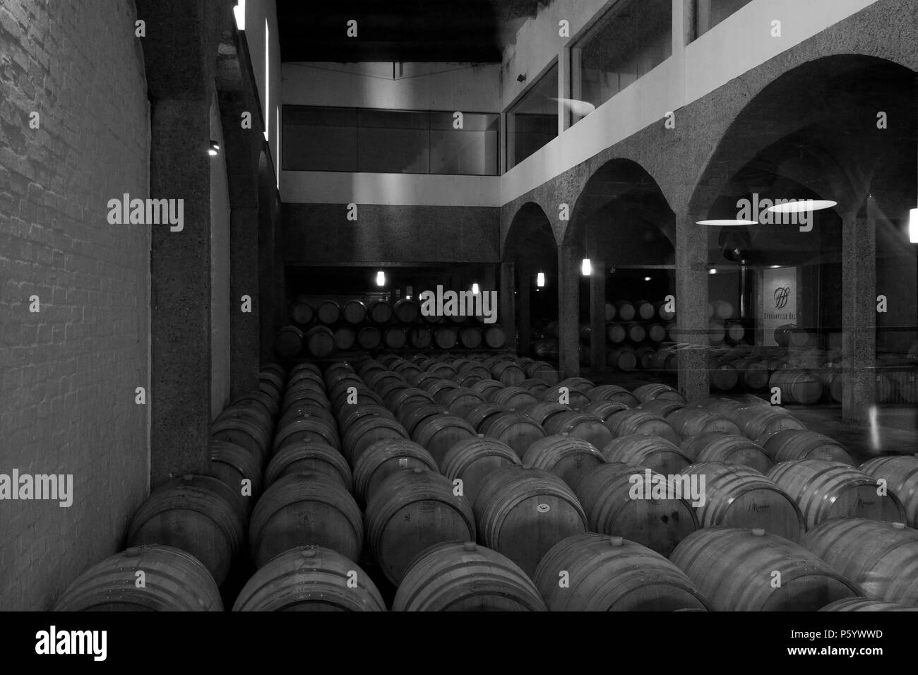Weinfässer auf Anzeige an der Durbanville Hills Wine Estate, Tygerberg Straße, Durbanville, Kapstadt. (B&W Foto) Stockfoto
