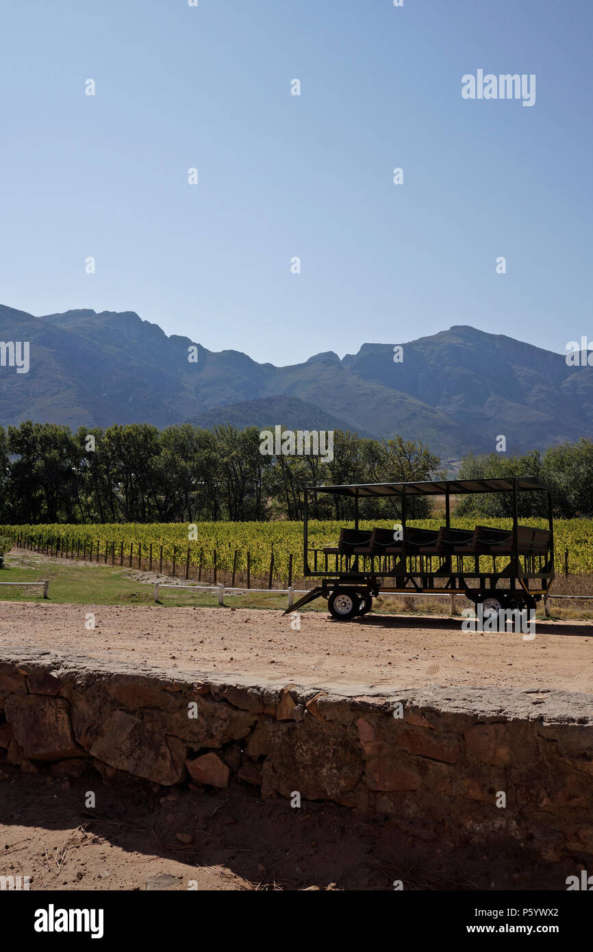 Rickety Bridge Weingut in Franschhoek in der Cape Winelands von Südafrika. Stockfoto