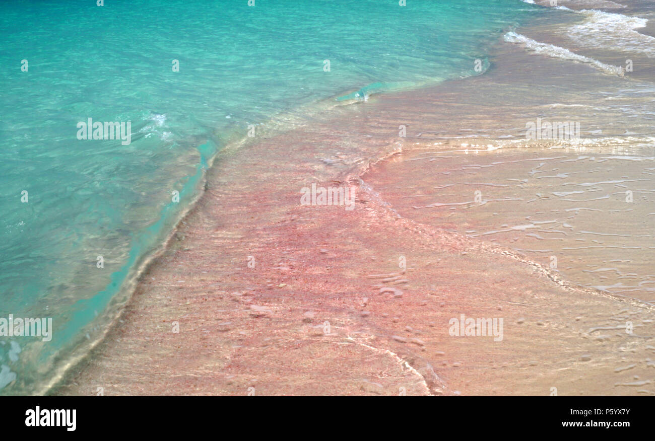 Tiefstrahler nr Cedar Tree Point Barbuda Stockfoto