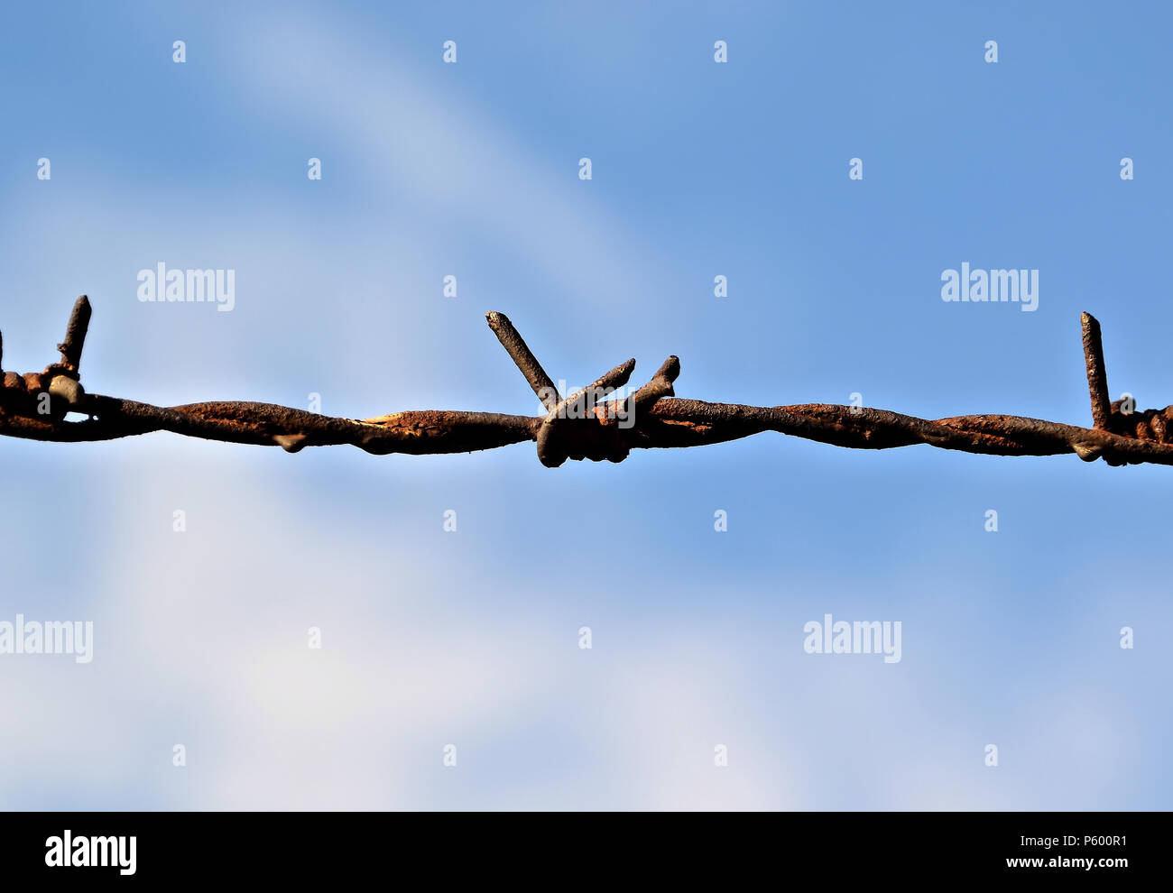 Stacheldraht Stockfoto