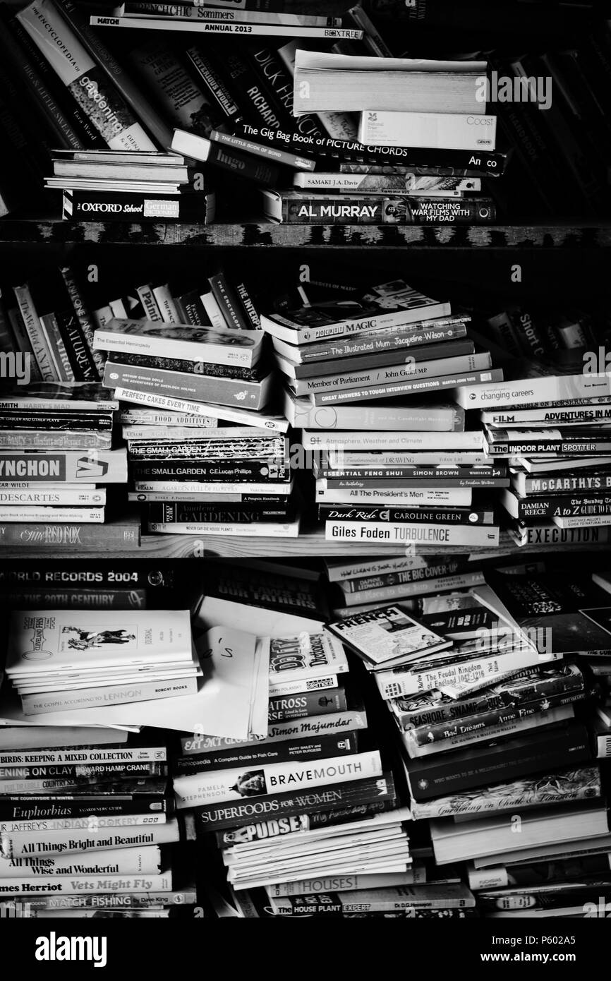 Schwarz-weiß-Bild der Regale von Büchern Stockfoto