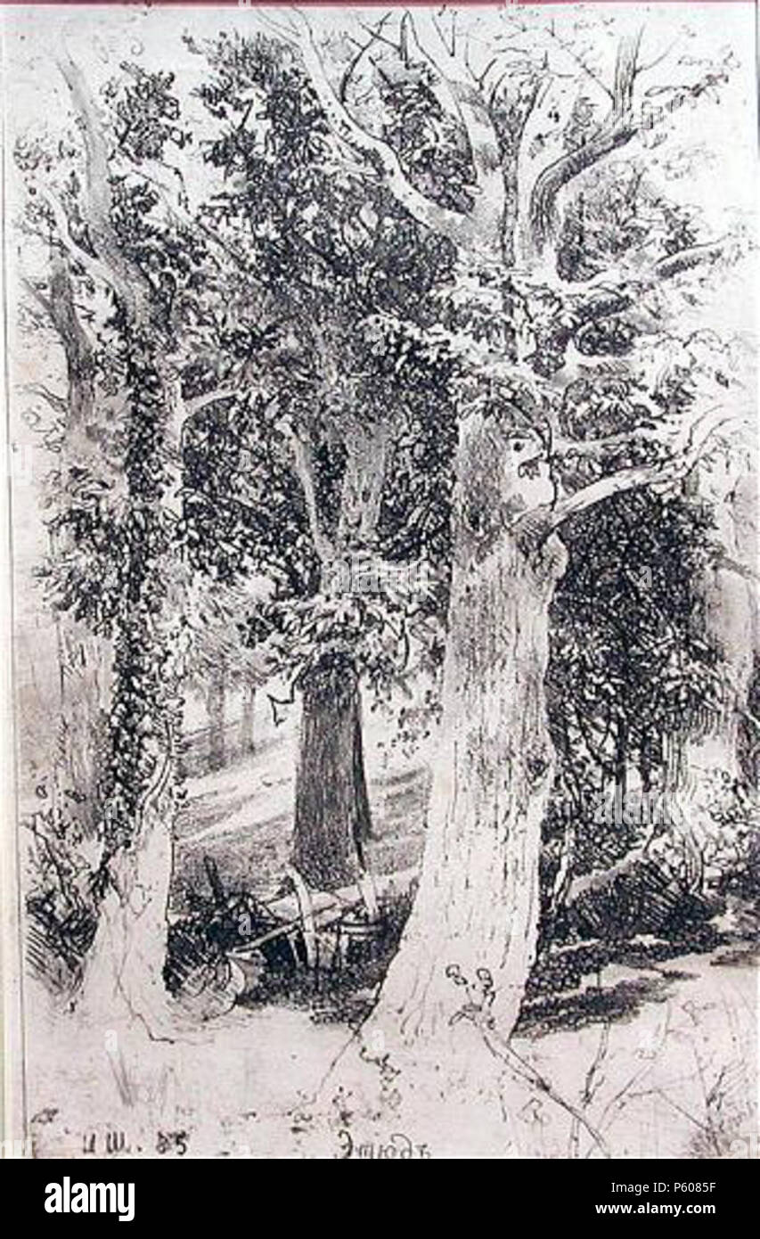 533 Etüüd. Shishkin Stockfoto