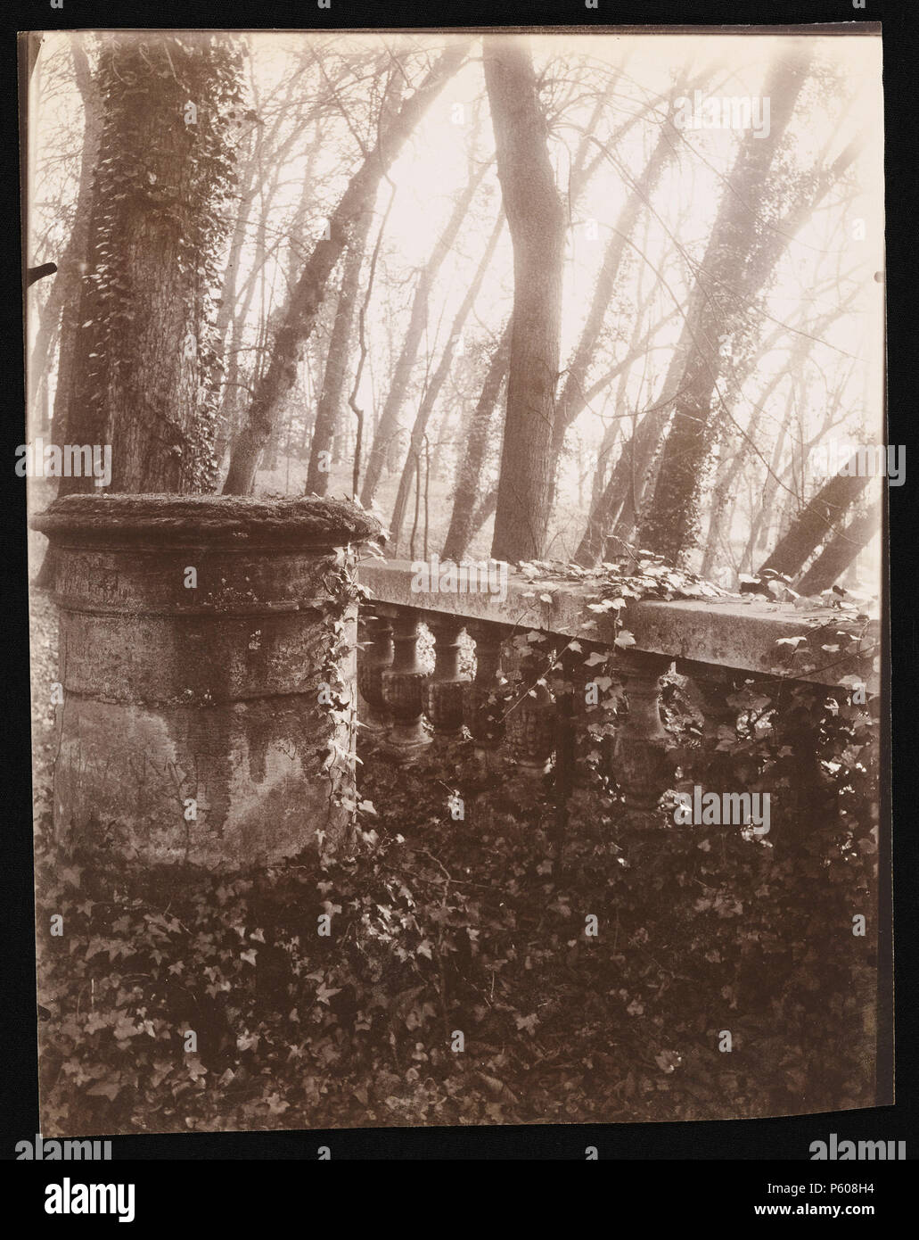 Park von Saint-Cloud, Paris; Eugène Atget (Französisch, 1857 - 1927); Paris, Frankreich; 1924; Eiklar Silber drucken; 22,3 × 17,8 cm (8 3/4 x 7 in.); 2002.37.11 534 Eugène Atget, Park von Saint-Cloud, Paris, 1924 Stockfoto