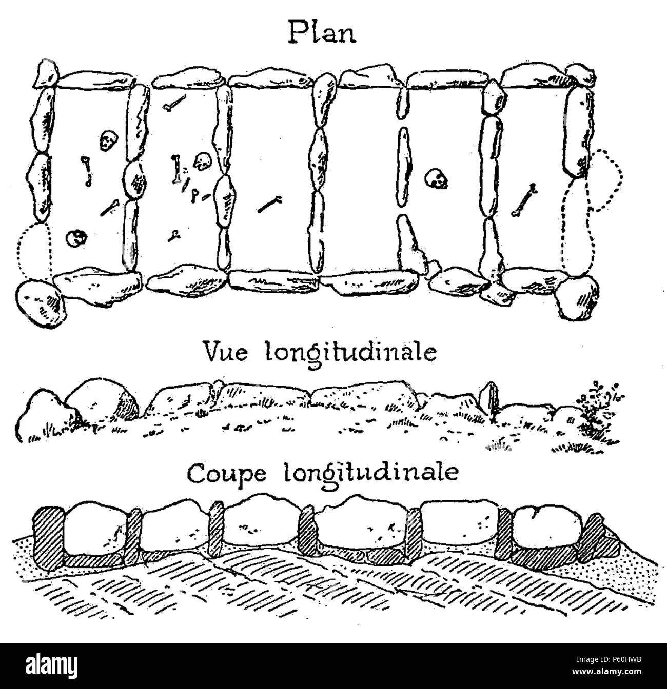 403 D 446-Fällen mazdéennes d'Exposition des Corps. -L2-Ch1 Stockfoto