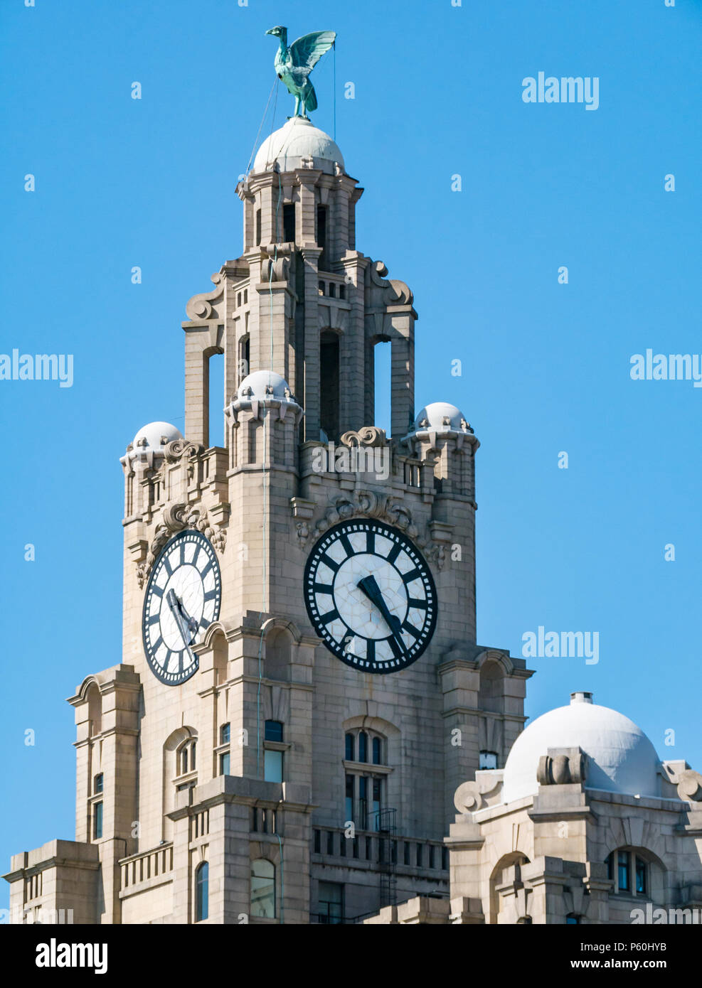 Blick auf eines der Drei Graces, Royal Lever Building, Pier Head, Liverpool, England, Großbritannien mit den größten Uhren im Vereinigten Königreich und kormorantem Lebervogel Stockfoto