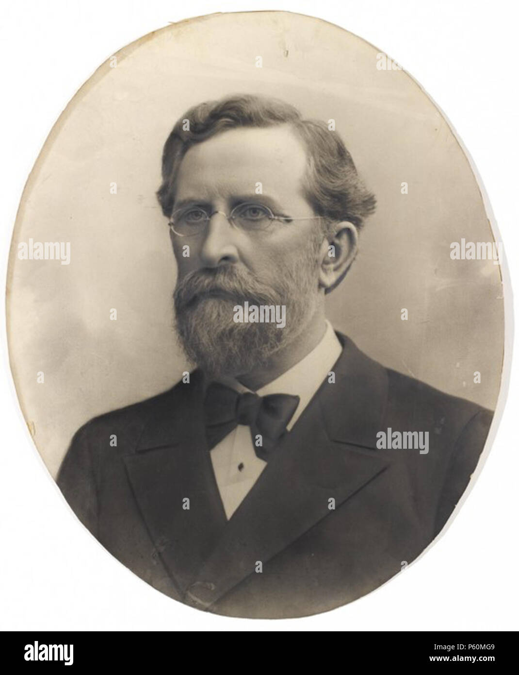 NA. Englisch: Foto des finnischen Politiker und Bankier Karl Felix Heikel  (1844 - 1921). 1890. Anonym 552 Felix-Heikel Stockfotografie - Alamy