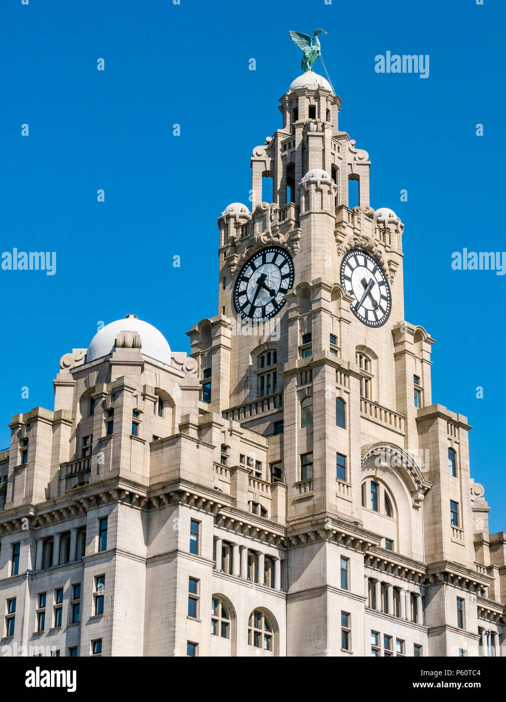 Blick auf eines der Drei Graces, Royal Lever Building, Pier Head, Liverpool, England, Großbritannien mit den größten Uhren im Vereinigten Königreich und kormorantem Lebervogel Stockfoto