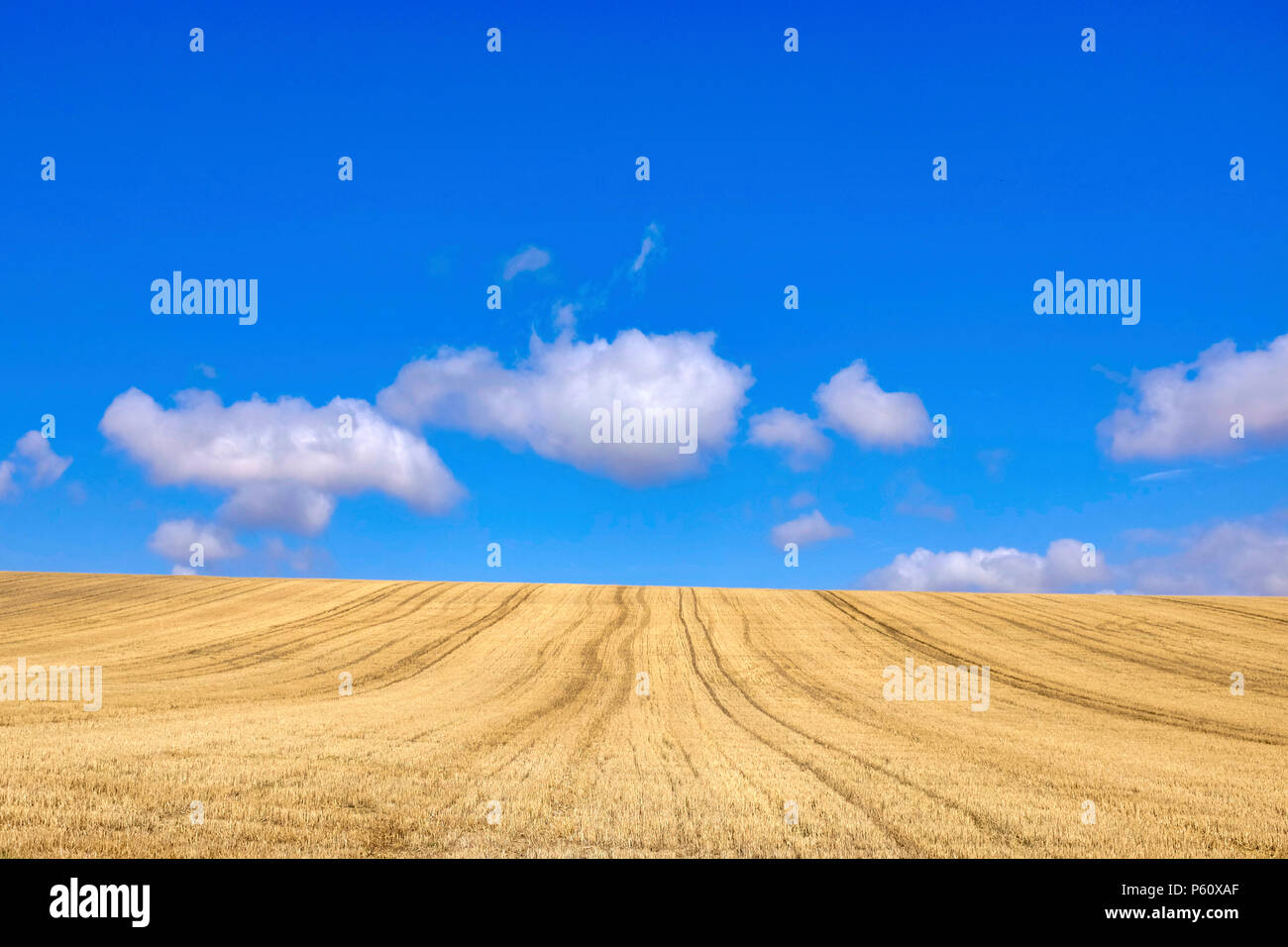 Abgeerntete Weizenfelder in der Spanischen mesetas Stockfoto