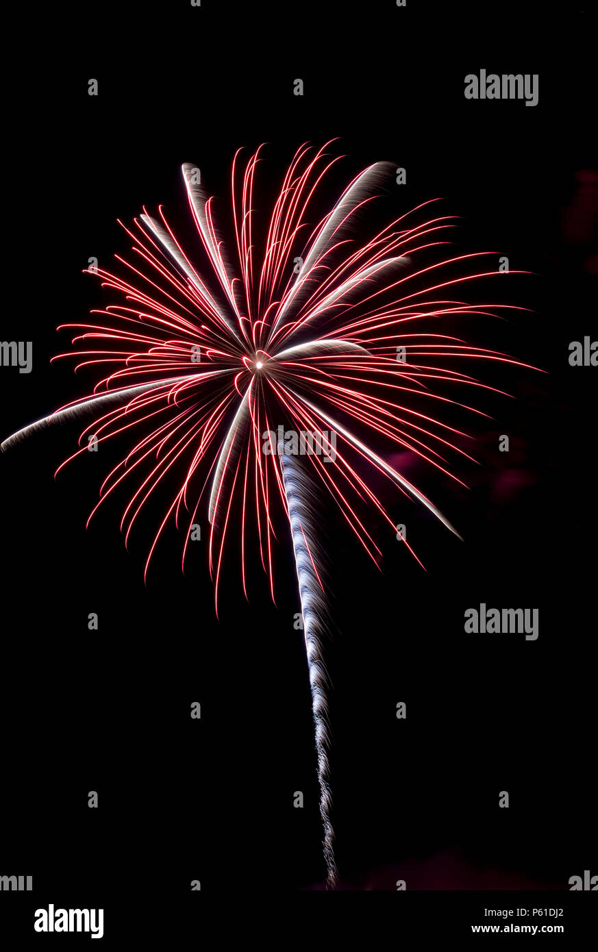 Feuerwerk in der Nacht Stockfoto