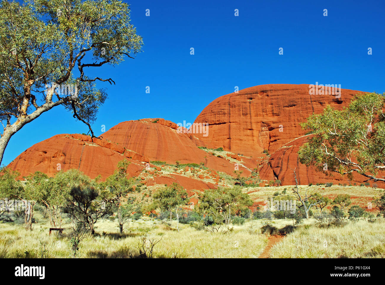 Kata Tjuta, Australien Stockfoto