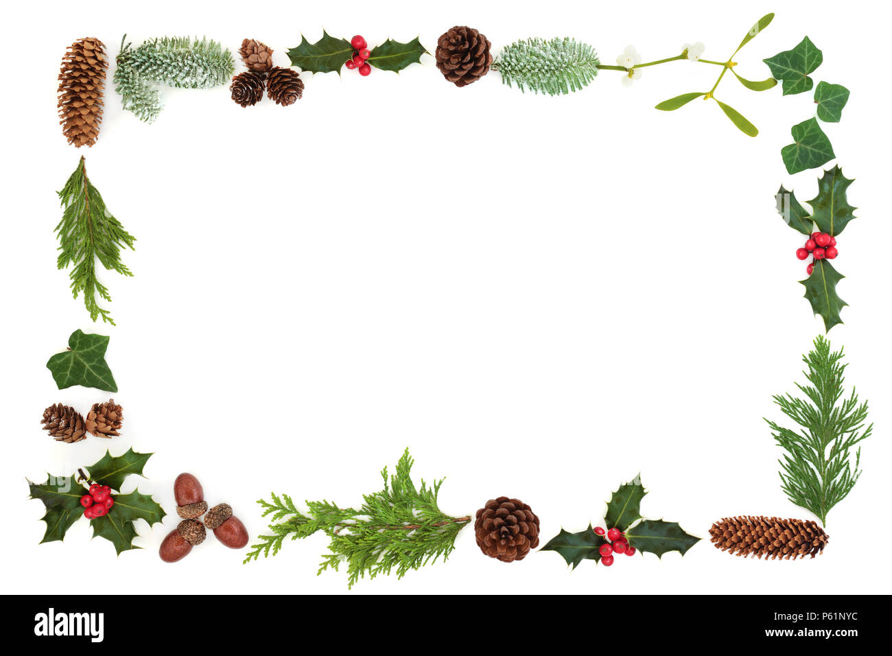 Winter natürliche Flora Hintergrund Grenze mit Blatt Zweige, Eicheln, Mistel, Tannenzapfen, Holly und schneebedeckte Tannen auf weißem Fichtenholz. Stockfoto