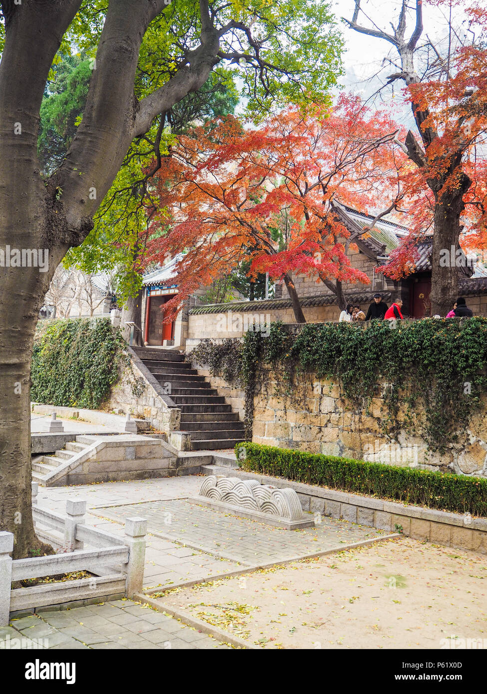 Im Innenhof des Taiqing Gong oder Tempel der höchsten Reinheit auf Berg Lau im Herbst Stockfoto