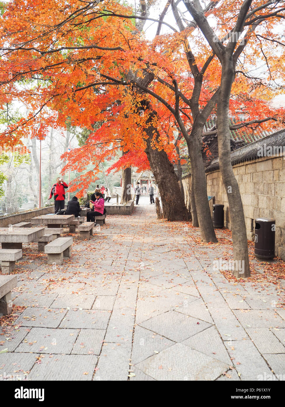 Touristischen Besuch der Tempel Taiqing Gong oder der höchsten Reinheit auf Berg Lau im Herbst Stockfoto
