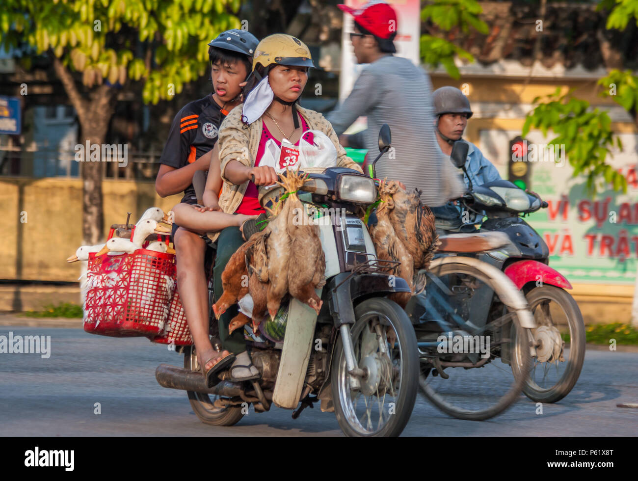 Hue, Vietnam - am 28. März 2015 - da Autos teuer sind und der Verkehr verrückt, in Vietnam Motorroller Material an Stelle des Autos zum Transport verwendet werden, Stockfoto