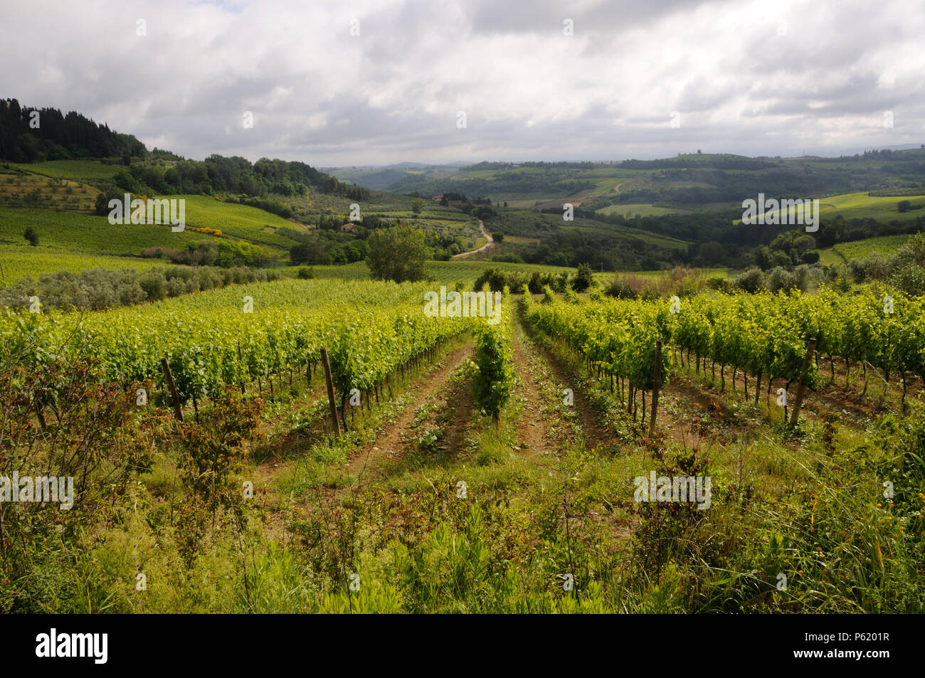 Der toskanischen Landschaft in der nähe von Fiano, Toskana, Italien Stockfoto