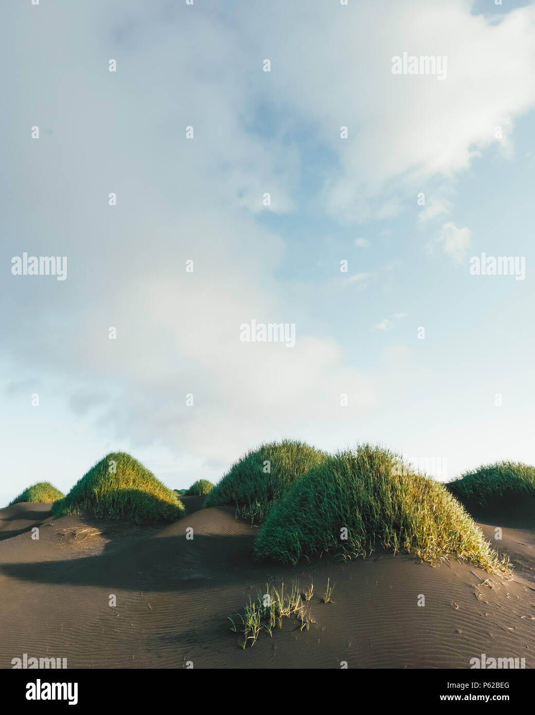 Berühmte Gras Hügel auf Schwarze Wüste in der Nähe von stokksnes Stockfoto