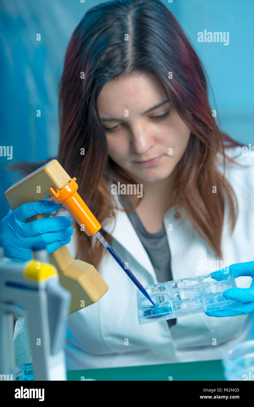 Technikerin im medizinischen Labor, Krankenhaus Petrischale Test Stockfoto