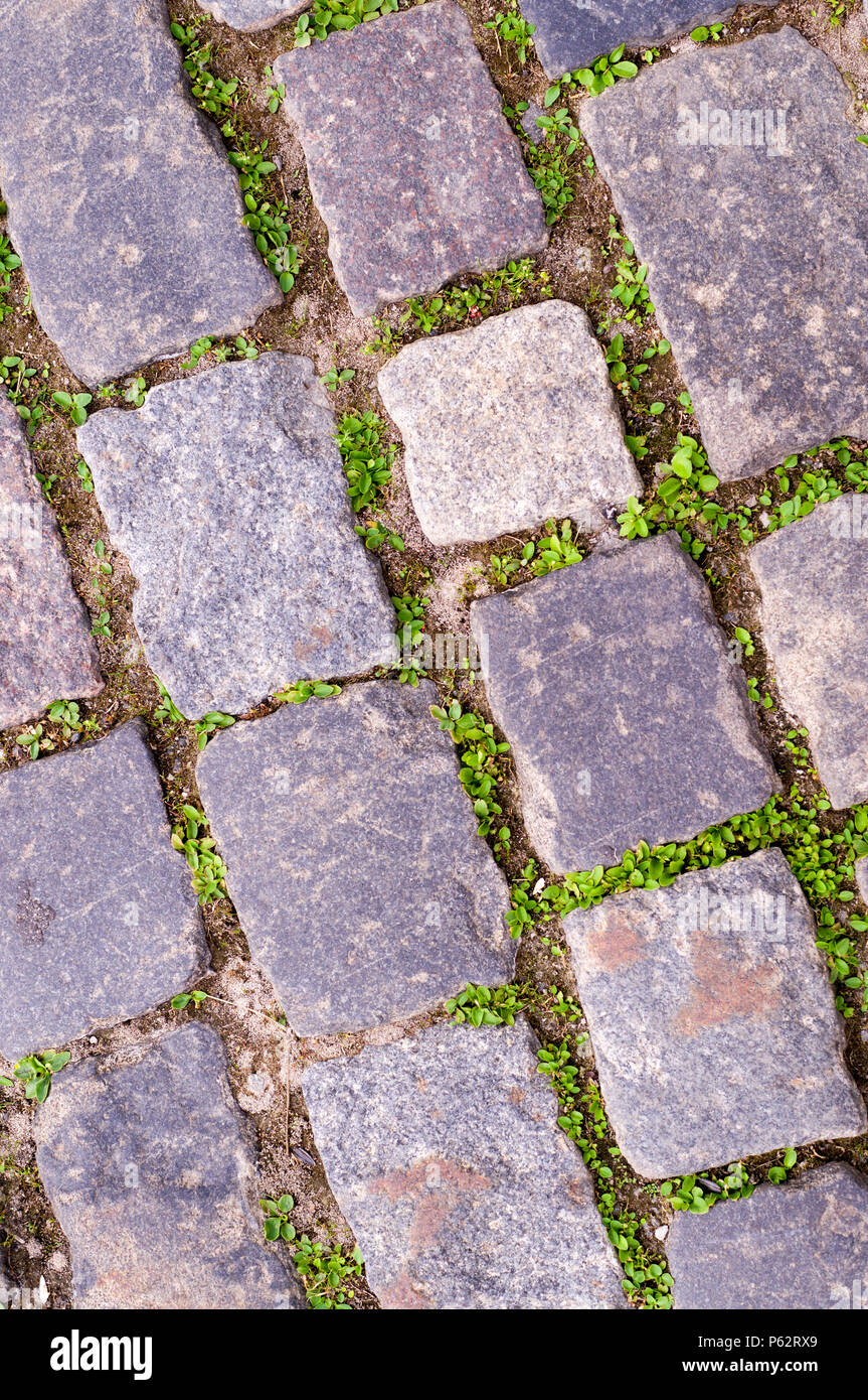 Ländliche Stein Pflaster. Hintergrund, Natur. Stockfoto