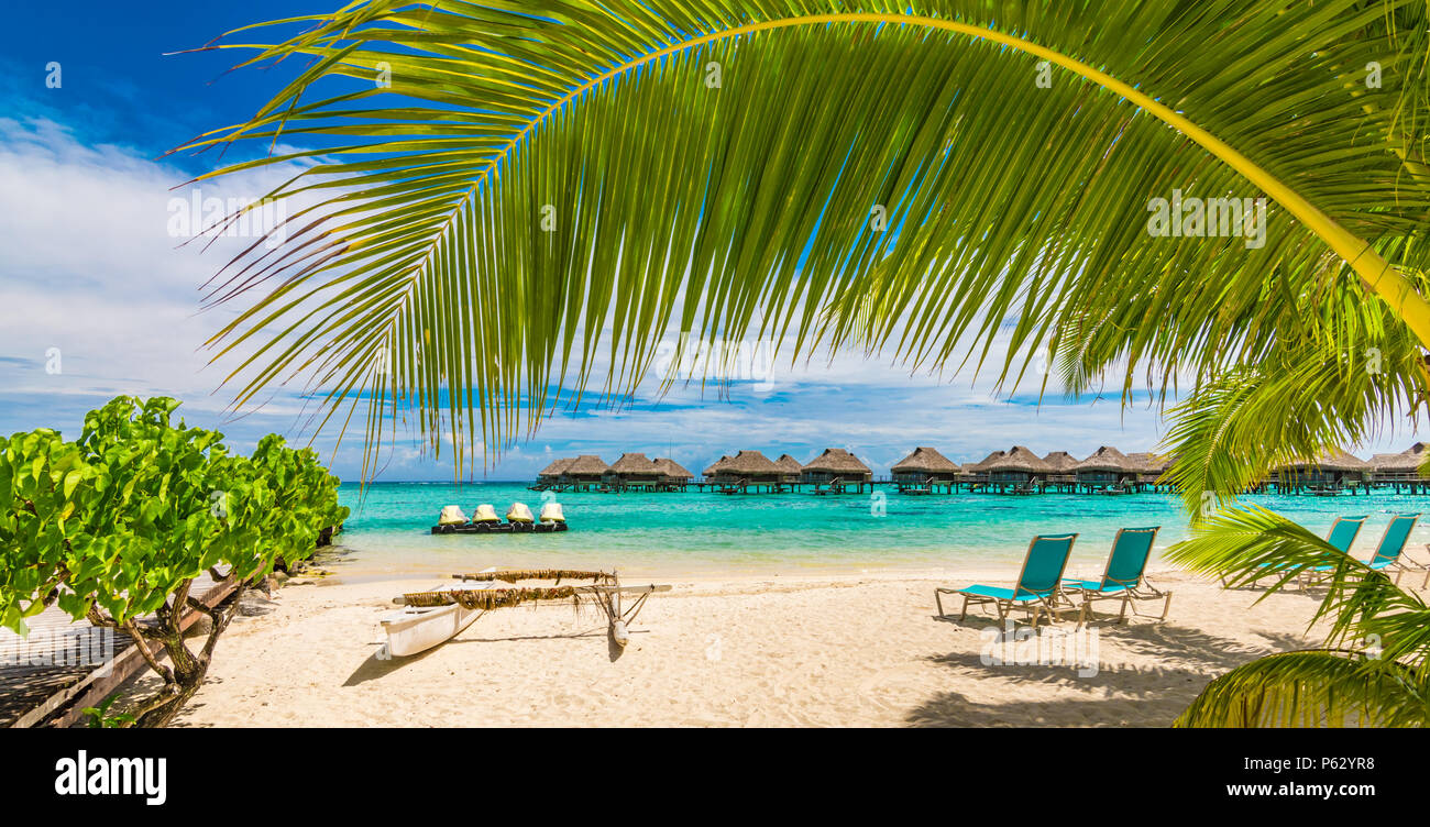 Palmen am tropischen Strand des Resorts. Stockfoto