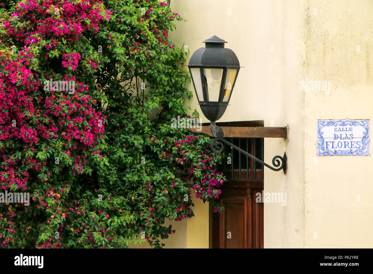 Detail aus einem Haus mit Straße Licht, anmelden und einen Baum in Colonia del Sacramento, Uruguay. Es ist eine der ältesten Städte in Uruguay Stockfoto