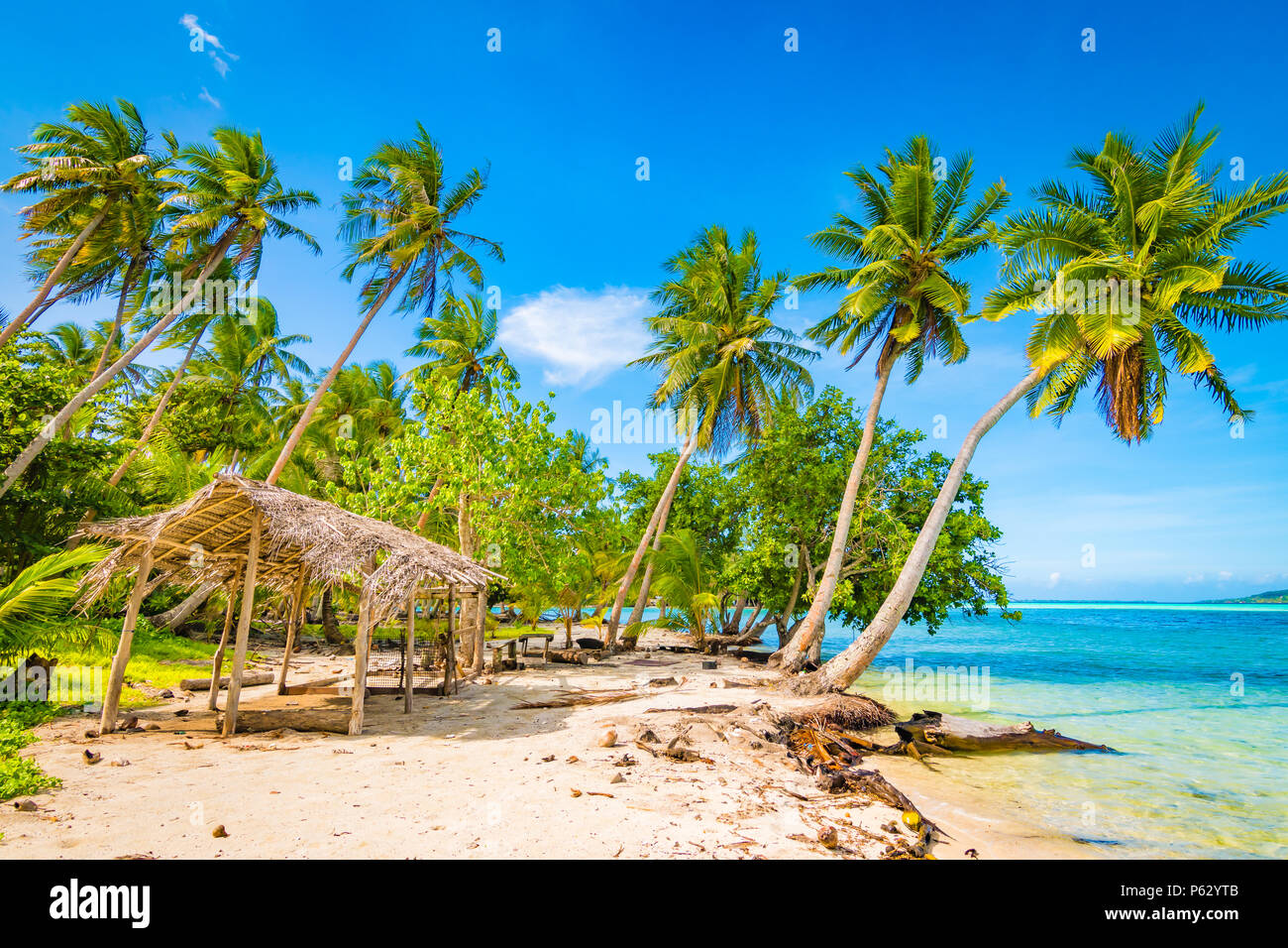 Palmen und staw Hütte auf der tropischen Insel. Tahaa, Französisch Polynesien. Stockfoto