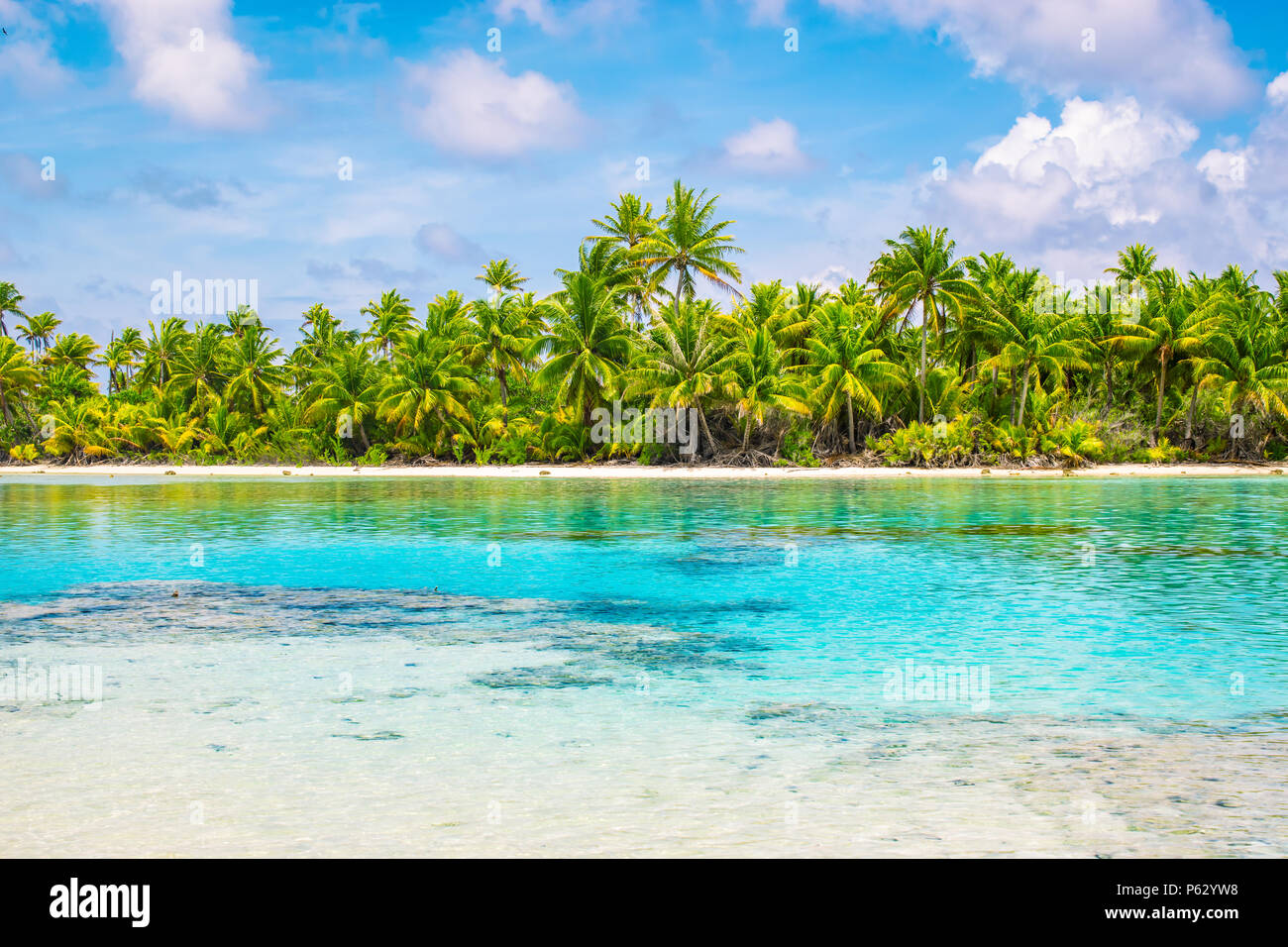 Tropischen Palmen und Lagune von Fakarava, Französisch Polynesien. Sommer Urlaub Konzept. Stockfoto