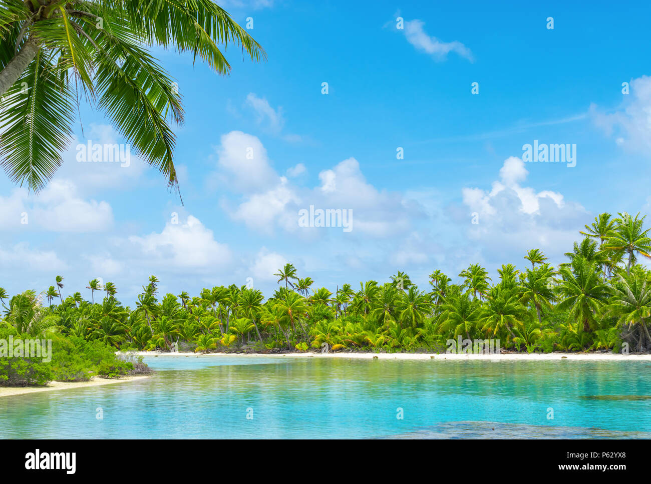 Tropische Lagune Landschaft mit Kokospalmen und blauer Himmel. Exotische Reiseziel im Sommer. Stockfoto