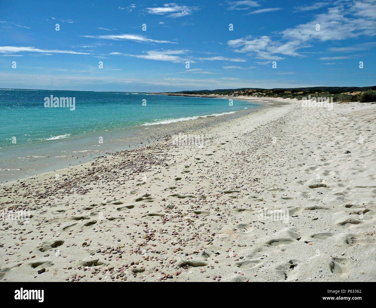 Shell Beach, Western Australia, Australia Stockfoto