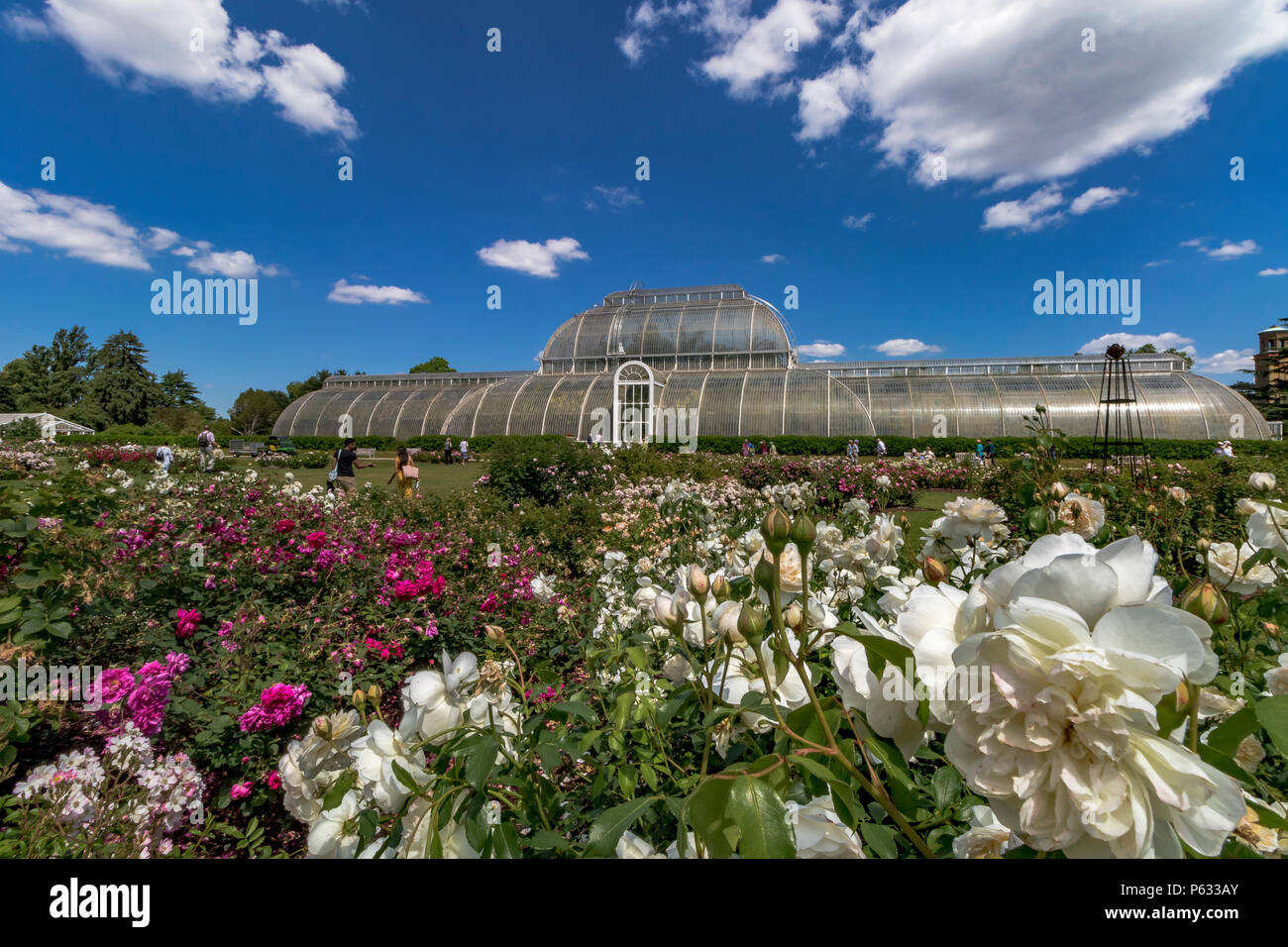 Das Palm House und Rose Garden an der Royal Botanic Gardens, Kew, Stockfoto