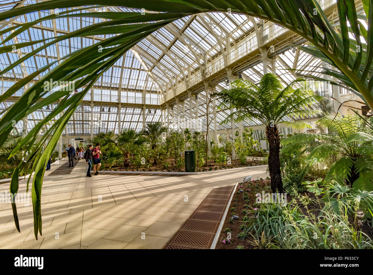 Besucher des kürzlich restaurierten gemäßigten Hauses in Kew Gardens, London, Großbritannien Stockfoto