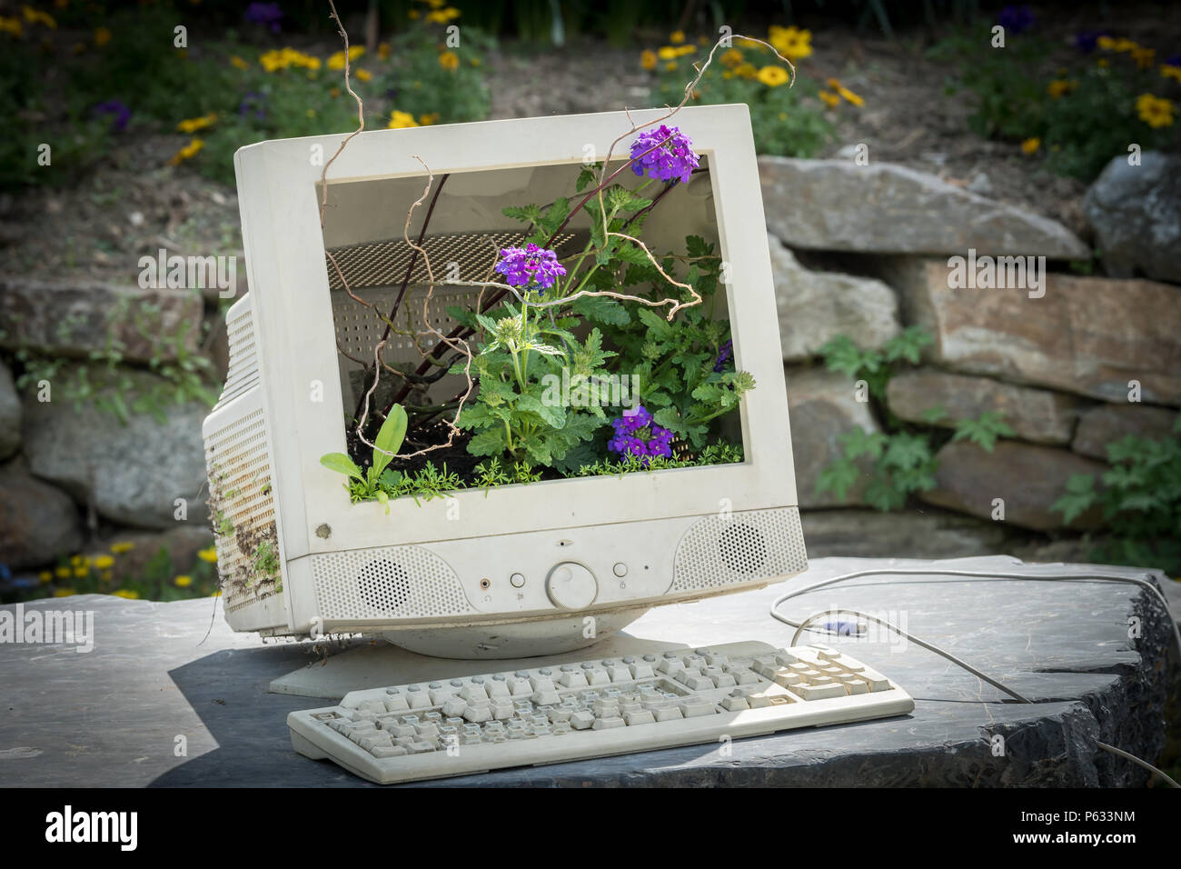Defekter Computer Bildschirm und Tastatur verwendet als Dekoration in einem  Garten mit verschiedenen Blumen, sonnigen Tag im Frühling Stockfotografie -  Alamy