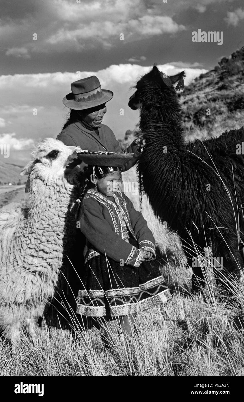 QUECHUA Mädchen mit ihrer Großmutter & Lamas - Peruanische Anden Stockfoto