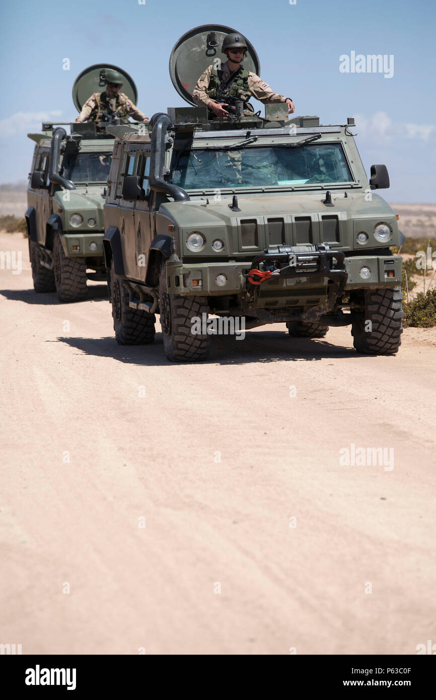 Service Mitglieder aus den USA, der Royal Königreich Marokko und anderen teilnehmenden Nationen verhalten Konvoi Ausbildung während der Übung afrikanischer Löwe 16., 19. April 2016. Afrikanischer Löwe erhöht das Verständnis für die Fähigkeiten und Fertigkeiten anderen Nationen", der Verbesserung ihrer Fähigkeit, zusammen zu arbeiten. (U.S. Marine Corps Foto von Lance Cpl. Melissa Martens/Freigegeben) Stockfoto