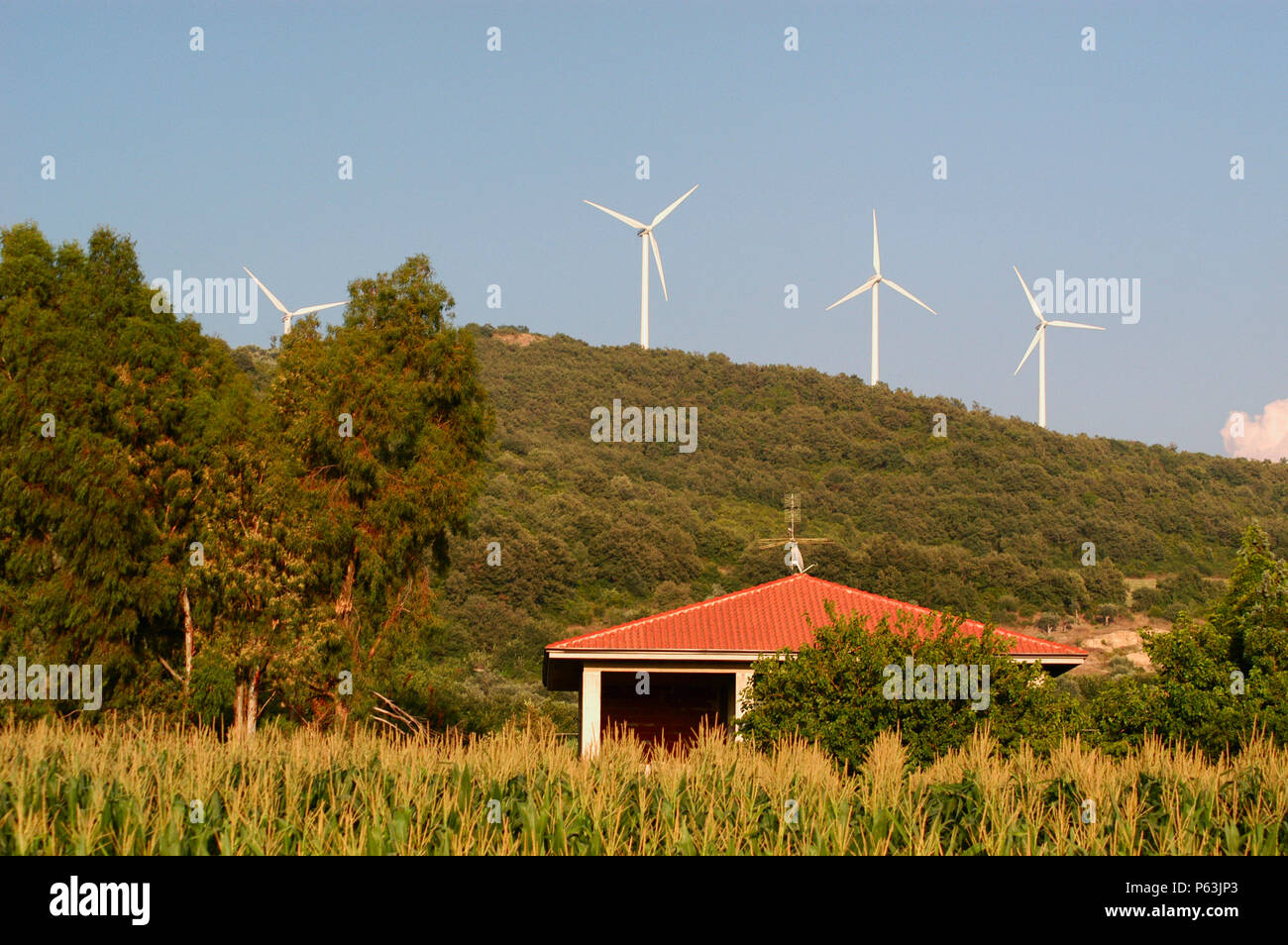 Es gibt eine ziemlich große Anzahl von Windenergieanlagen in den landwirtschaftlichen Gebieten im Süden Italiens im Rahmen der Entwicklung von alternativen Energiequellen. Stockfoto