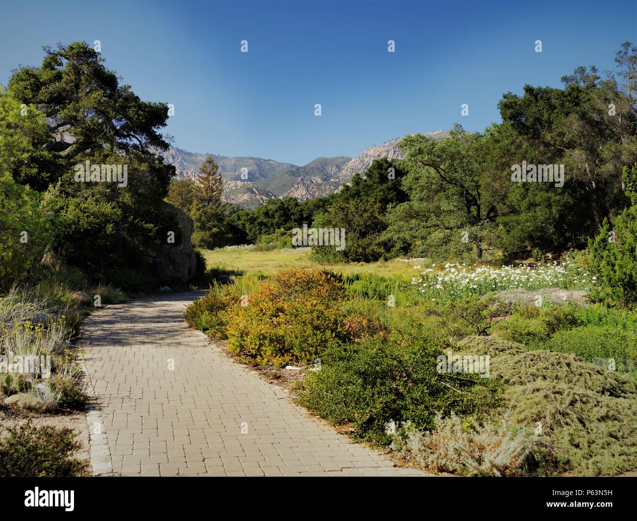 Brick Weg durch Wiese und Berge Stockfoto