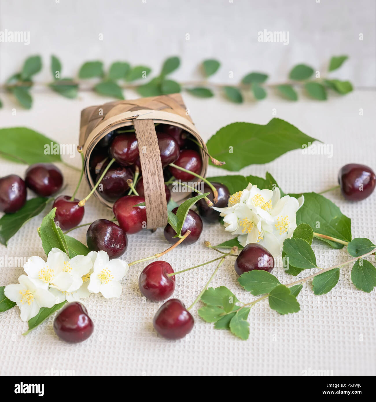 Weidenkorb mit reifer Kirsche und zerstreut, Beeren, Blätter, Blumen auf hellem Hintergrund. Vegetarische Konzept, Ernährung, Entgiftung, organischen Vitaminen und Sommer Stockfoto