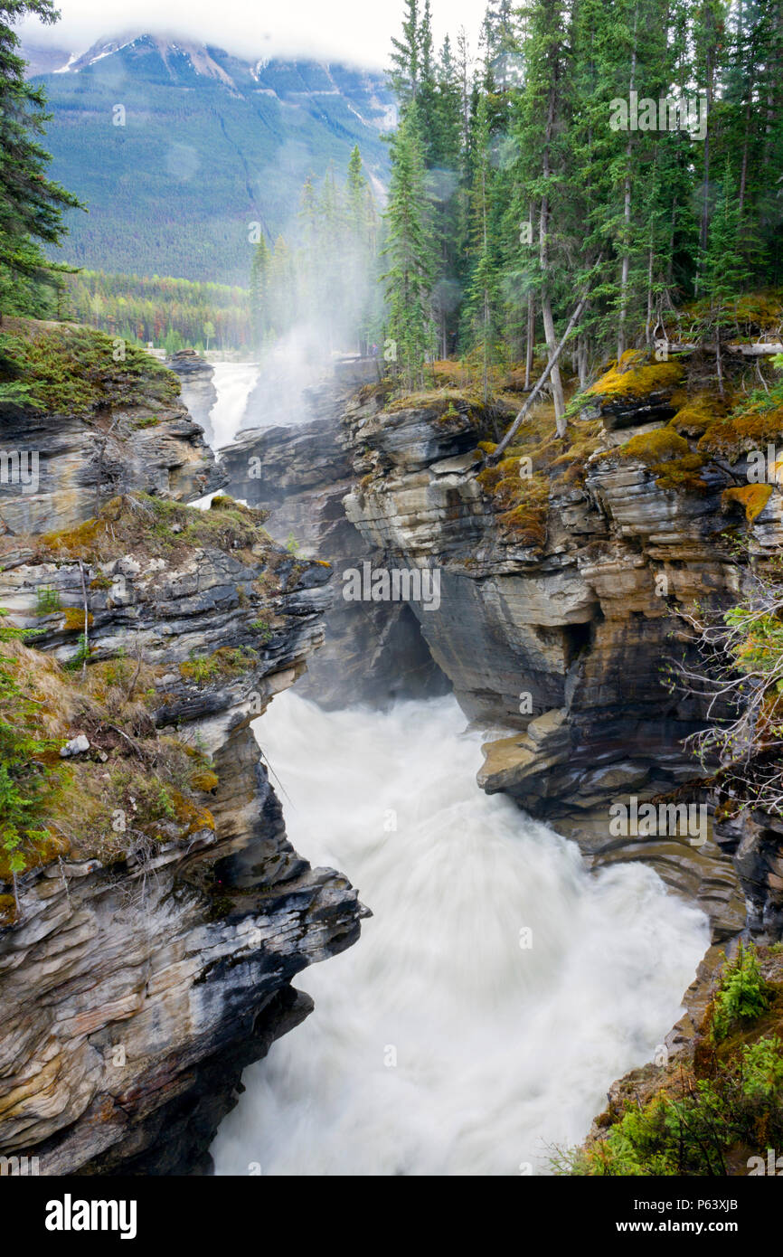 Sunwapta Falls ist ein paar Wasserfälle der Sunwapta River im Jasper National Park, Alberta, Kanada. Stockfoto