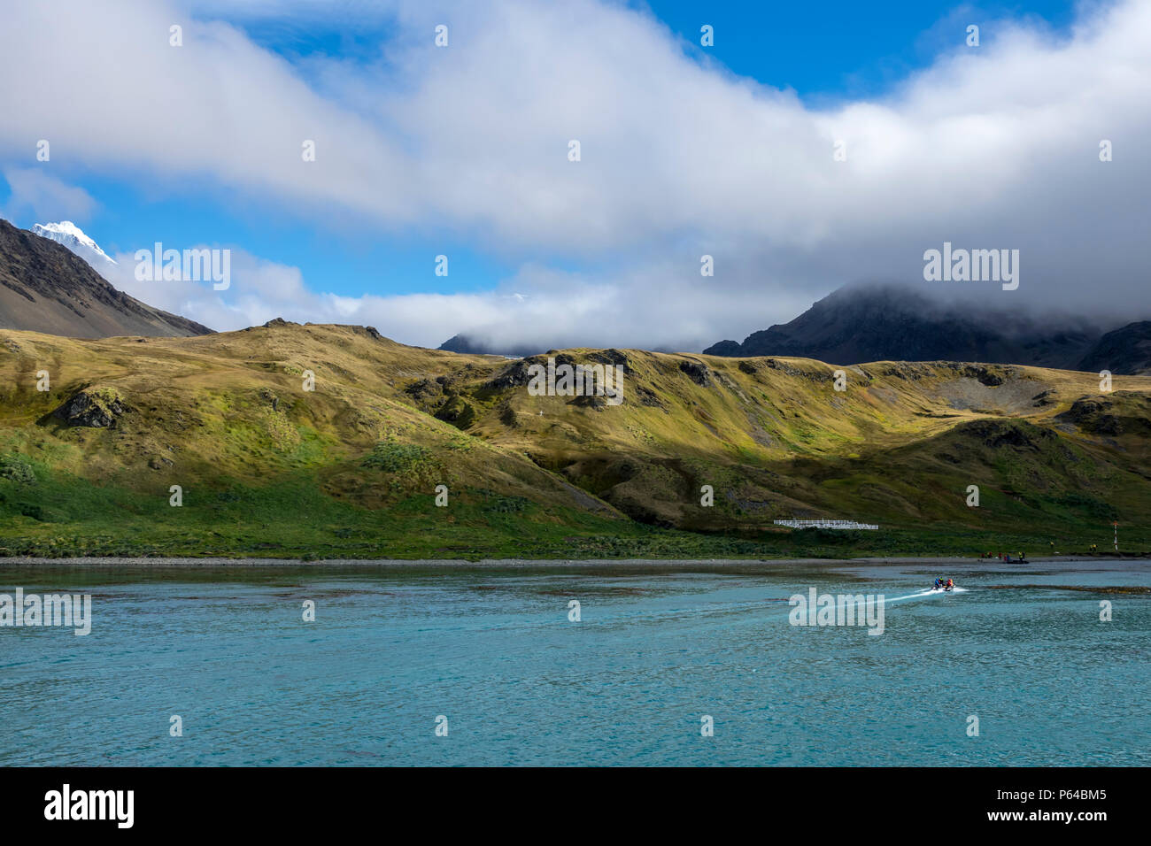 Sternzeichen unter Expeditionsschiff Passagiere auf dem Friedhof von Grytviken, Südgeorgien Stockfoto