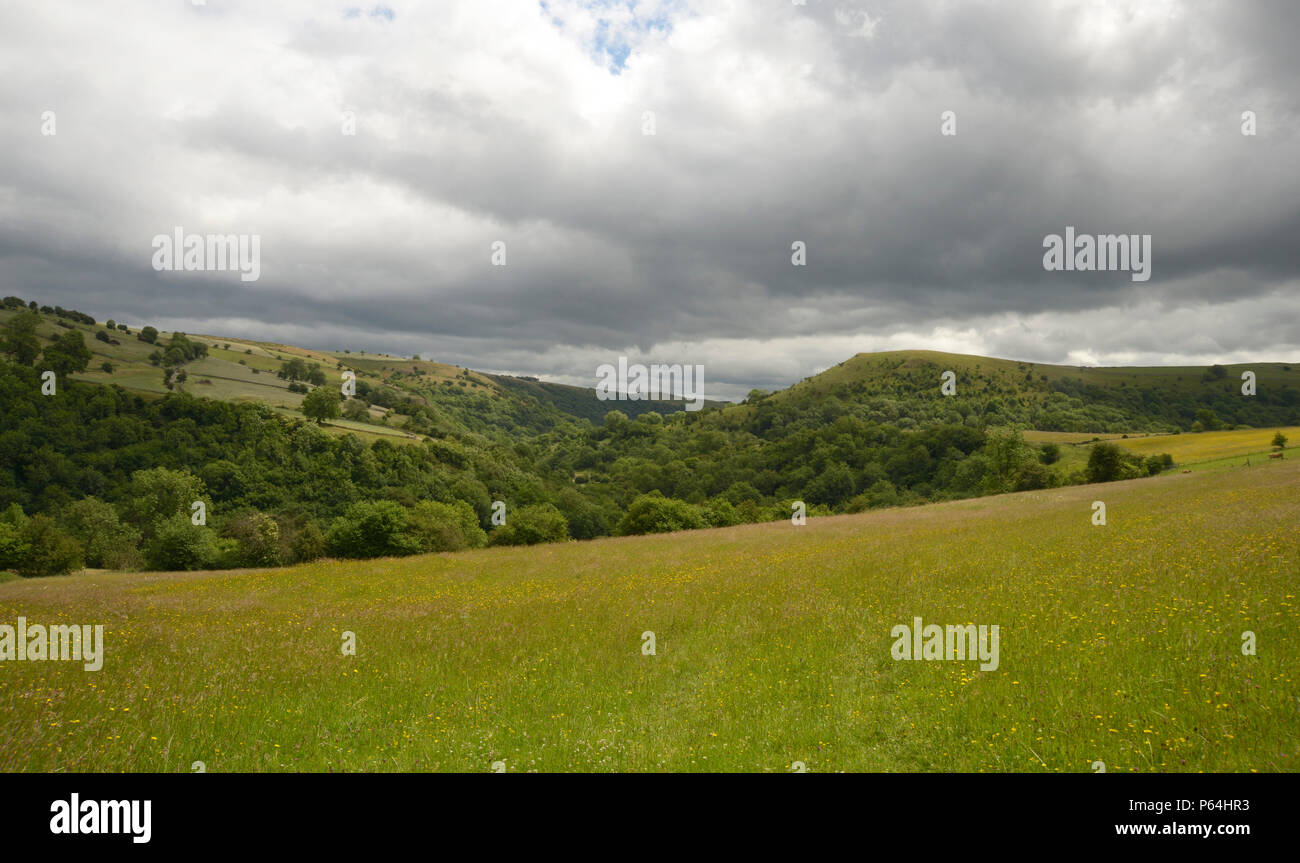 Krümmer Tal, aus der Nähe von Grindon, Peak District gesehen. Stockfoto